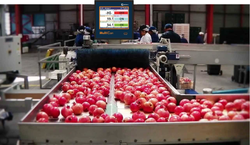 Multichannel Controller for Industrial Process Control | Dpstar Group